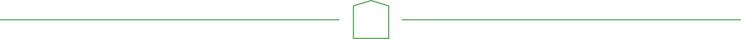 House With Lines