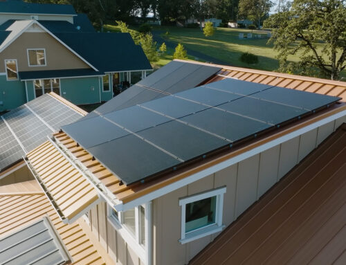 Building for the Next Generation: Why Sustainability is Our Core Mission