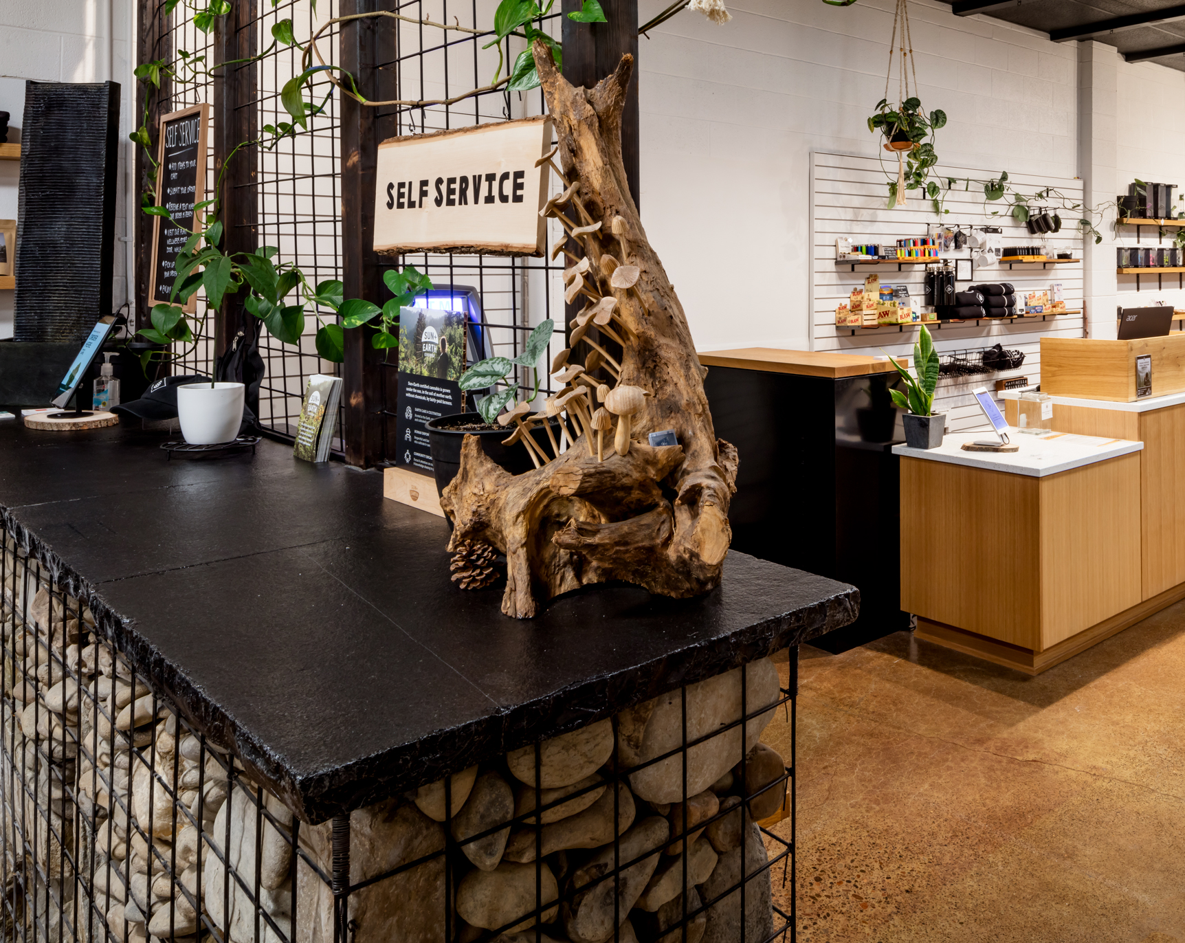 High Quality Lifestyle Store