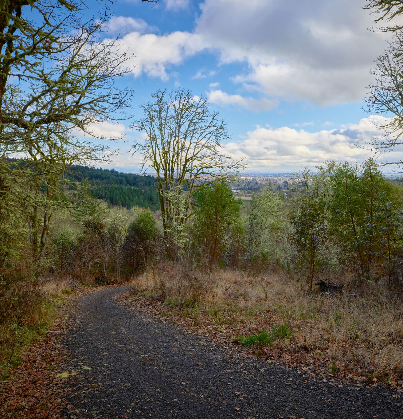 Timberhill