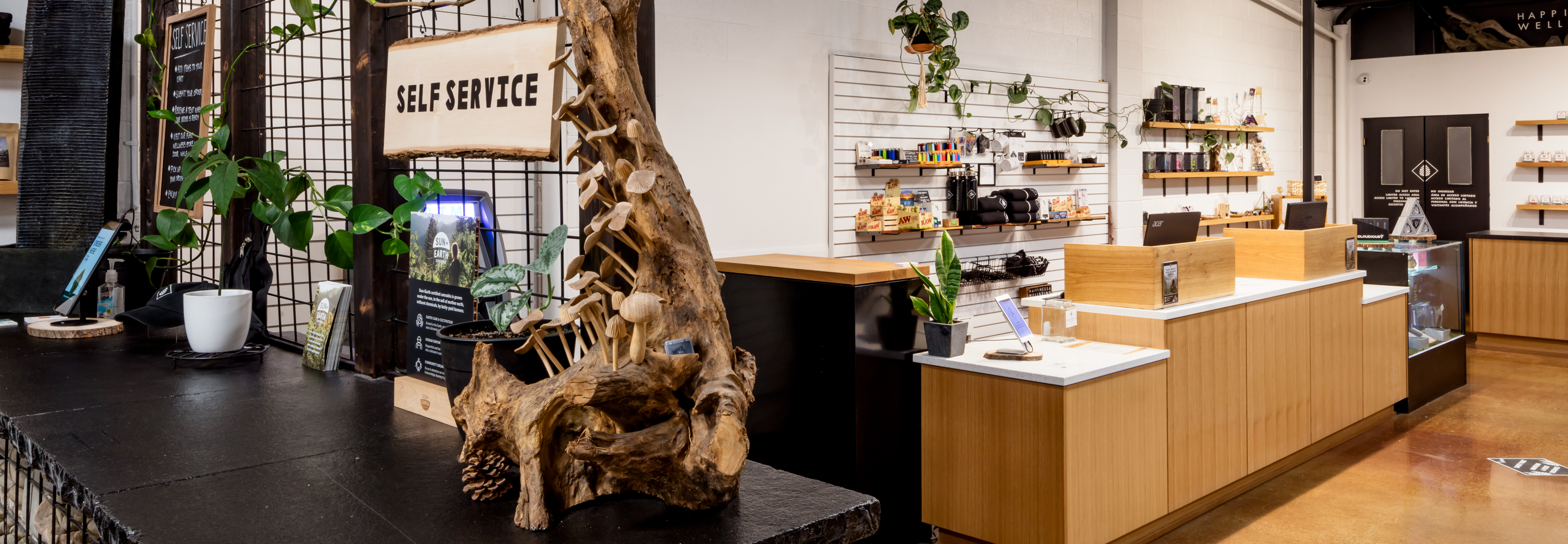 High Quality Lifestyle Store