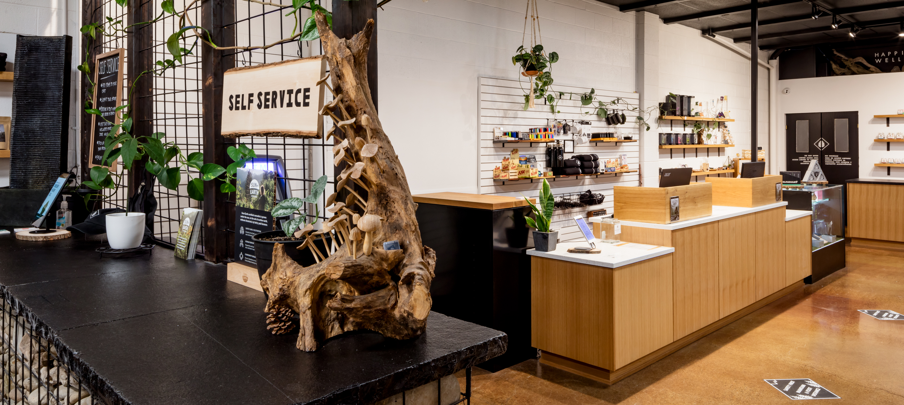 High Quality Lifestyle Store