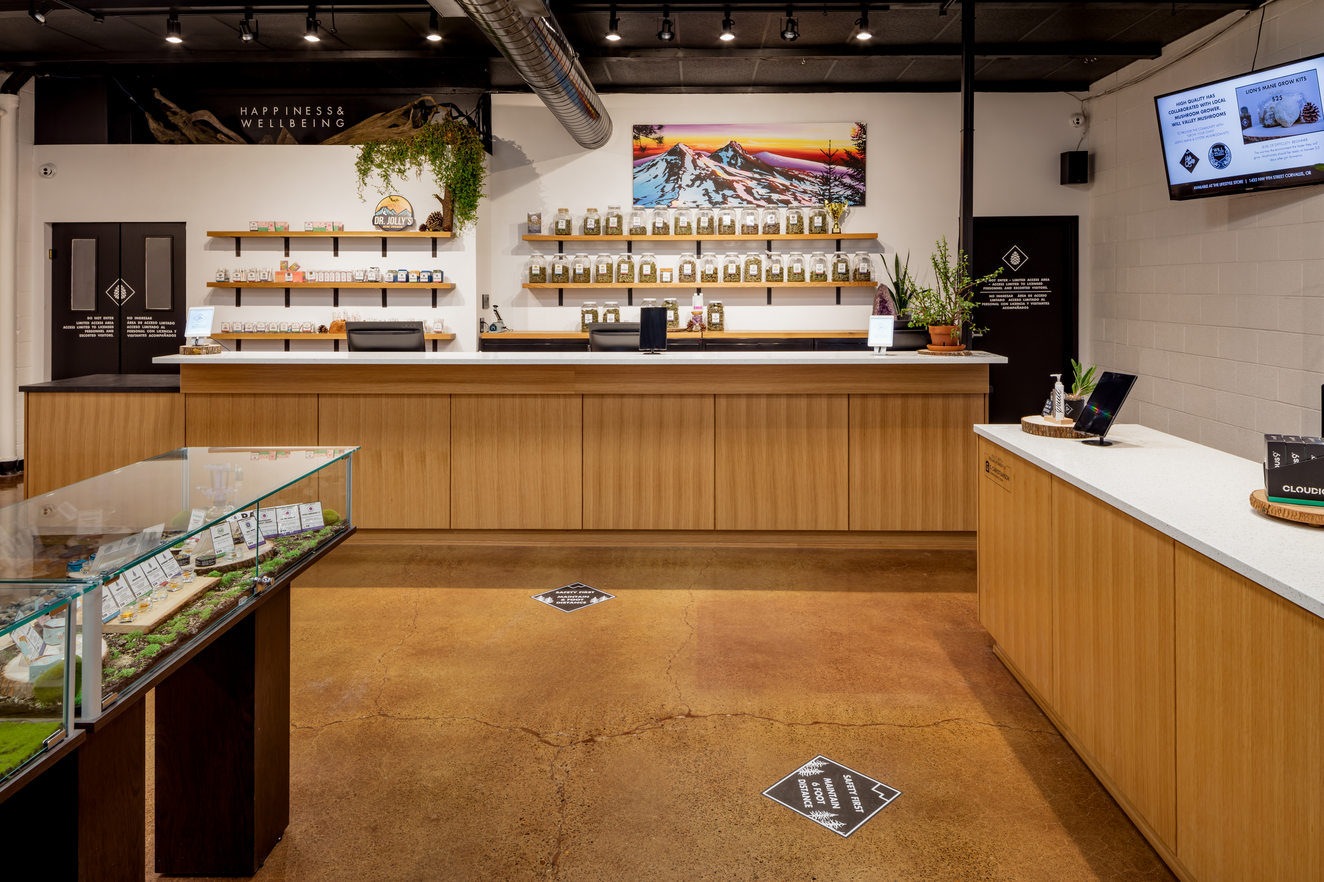High Quality Lifestyle Store
