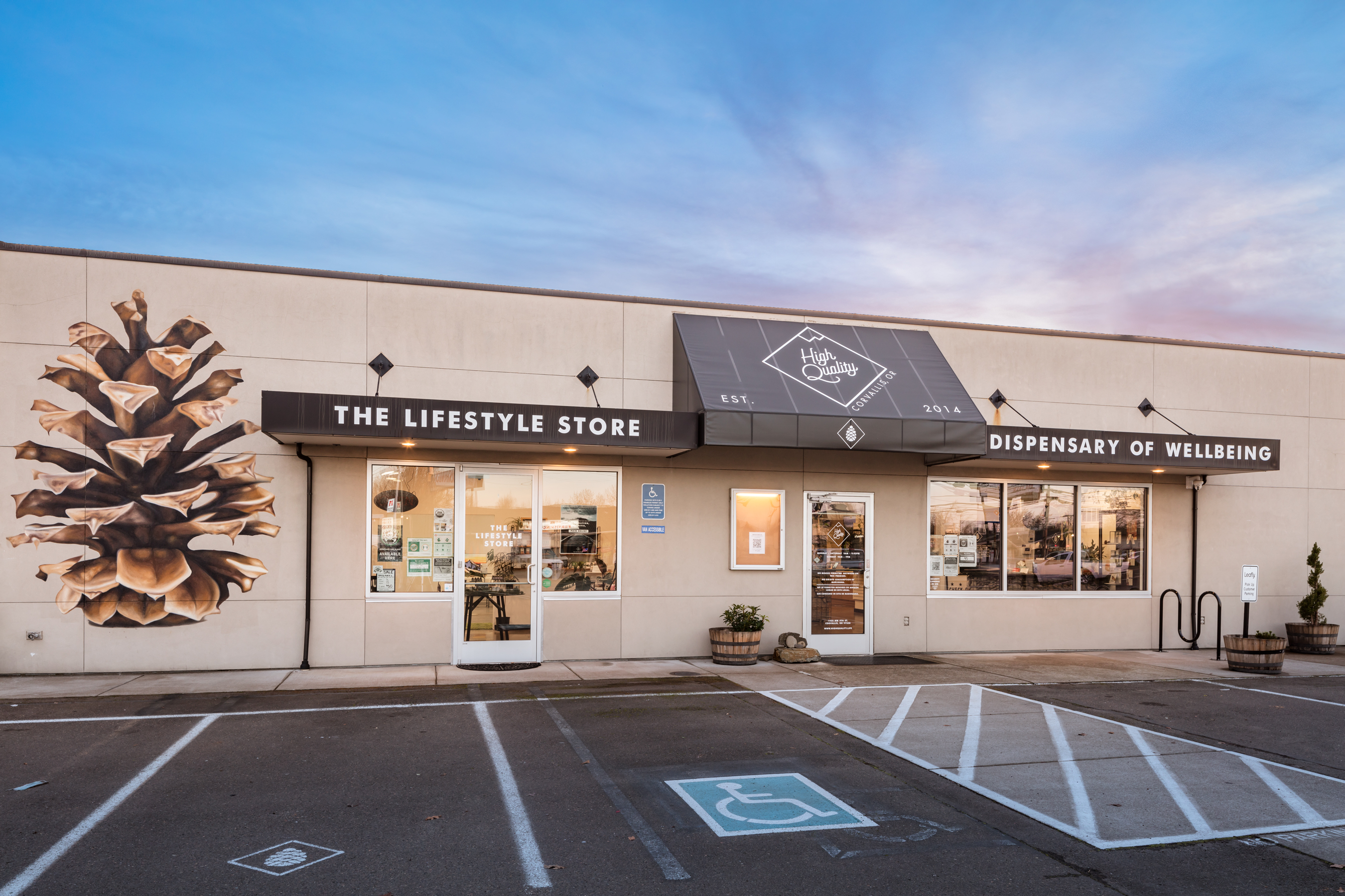 High Quality Lifestyle Store