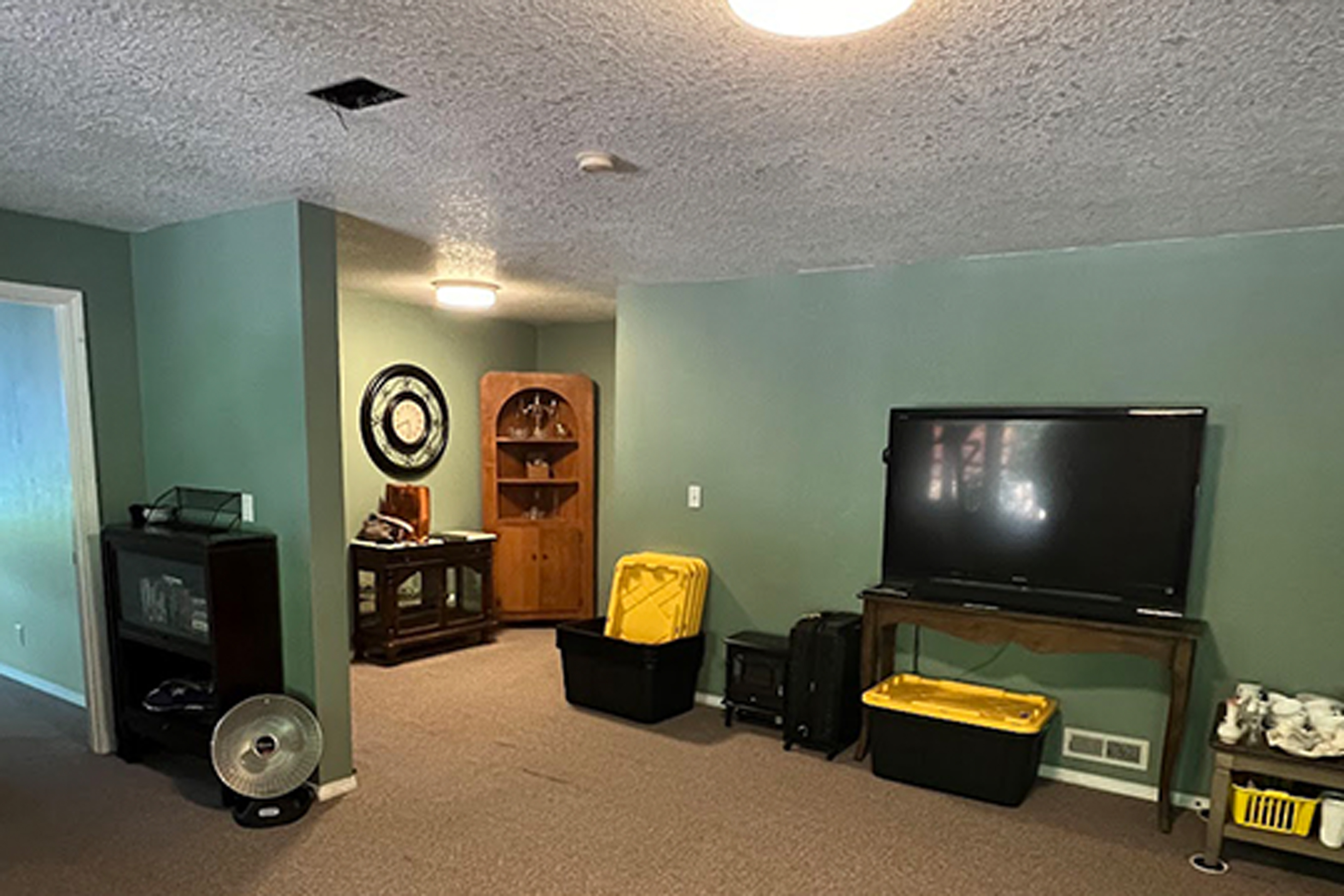 Refined Boxwood Basement